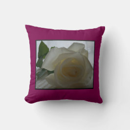 Sierkussen van Cream Roos