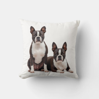 Sierkussen van de Boston Terrier