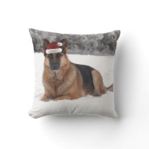 Sierkussen van de Duitse herderdag