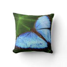 Sierkussen van een prachtige blauwe vlinder