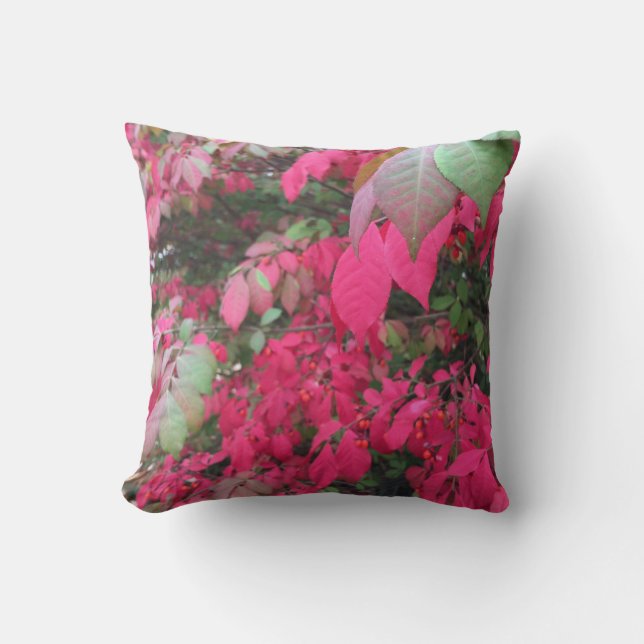 Sierkussen van lederen wijzigen (Voorkant)