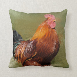 Sierkussen van oliehoudende kippen