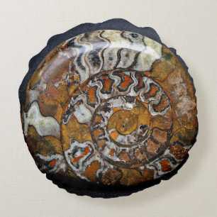 Sierkussen van schitterende ronde slakken rond kussen