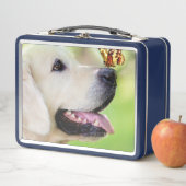 Sierkussen voor labrador en vlinder (In situ)