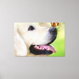 Sierkussen voor labrador en vlinder canvas afdruk