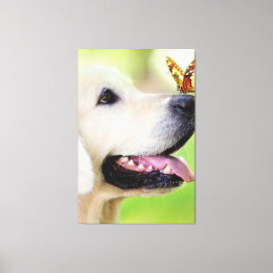 Sierkussen voor labrador en vlinder canvas afdruk