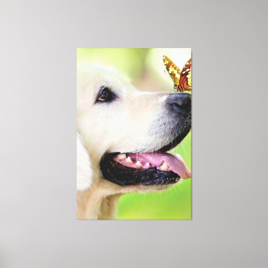 Sierkussen voor labrador en vlinder canvas afdruk (Voorkant)