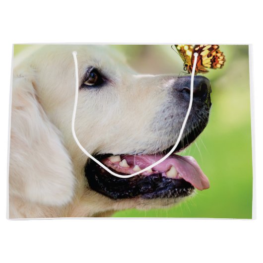 Sierkussen voor labrador en vlinder groot cadeauzakje (Voorkant)