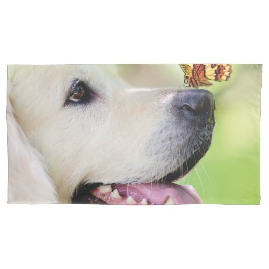 Sierkussen voor labrador en vlinder kussensloop (Voorkant)