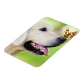 Sierkussen voor labrador en vlinder magneet (Linkerzijde)