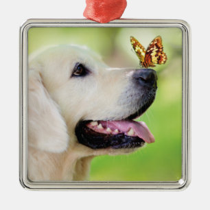 Sierkussen voor labrador en vlinder metalen ornament