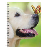 Sierkussen voor labrador en vlinder notitieboek (Voorkant)