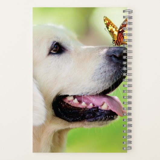 Sierkussen voor labrador en vlinder notitieboek (Achterkant)