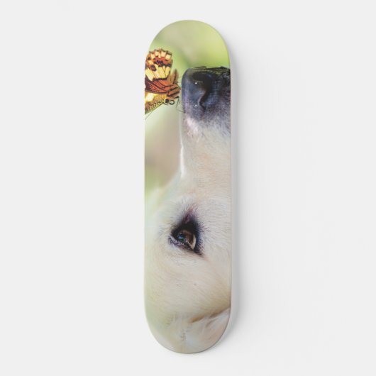 Sierkussen voor labrador en vlinder persoonlijk skateboard (Voorkant)