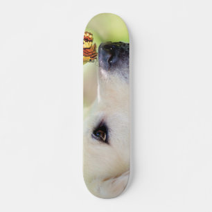 Sierkussen voor labrador en vlinder persoonlijk skateboard