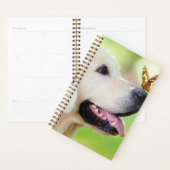 Sierkussen voor labrador en vlinder planner (Display)