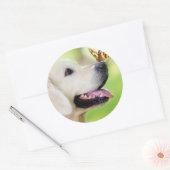 Sierkussen voor labrador en vlinder ronde sticker (Envelop)