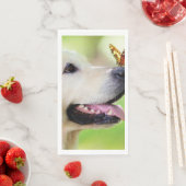 Sierkussen voor labrador en vlinder servet (Insitu)