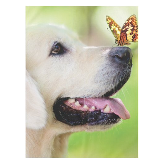 Sierkussen voor labrador en vlinder tafelkleed (Voorkant)