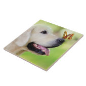 Sierkussen voor labrador en vlinder tegeltje (Zijkant)