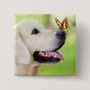 Sierkussen voor labrador en vlinder vierkante button 5,1 cm