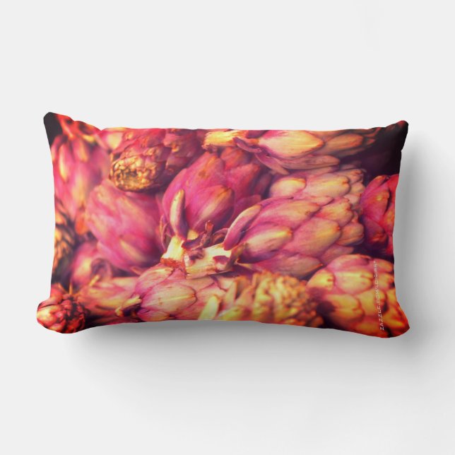 Sierkussen voor levensmiddelen kussen (Voorkant)