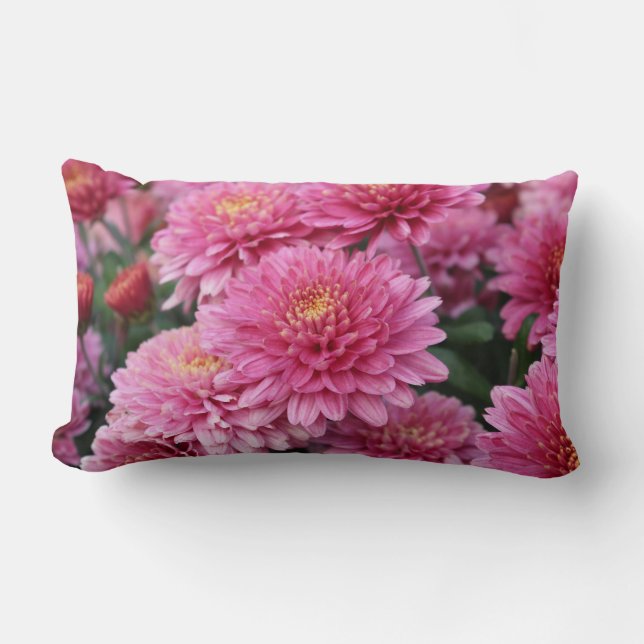 Sierkussennen met levendige roze chrysanten kussen (Voorkant)