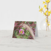 Sierlijk herfstgras en roze cosmos kaart (Gele Bloem)