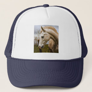 sierlijk Pet