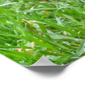 Sierlijke Andes Beer in weelderige habitat Poster (Hoek)