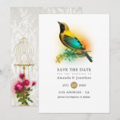 Sierlijke antieke vogelkooi kant bruiloft save the date (Voorkant / Achterkant)