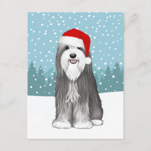 Sierlijke Collie Vakantie Lieve Hond Kerst Aangepa Briefkaart