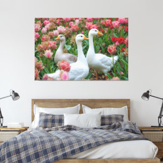 Sierlijke ganzen in Blooming Garden Dierenvriend Canvas Afdruk