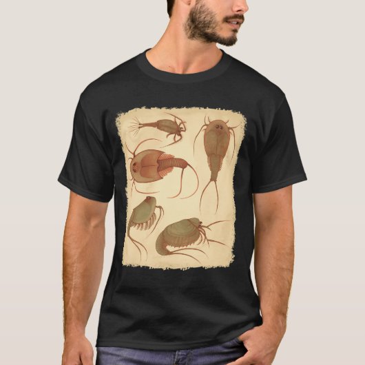 Sierlijke goudviskist t-shirt (Voorkant)
