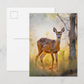 Sierlijke herten in het bos Natuur ontwerp Briefkaart (Voorkant / Achterkant)