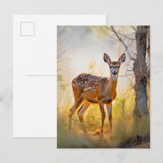 Sierlijke herten in het bos Natuur ontwerp Briefkaart (Voorkant / Achterkant)