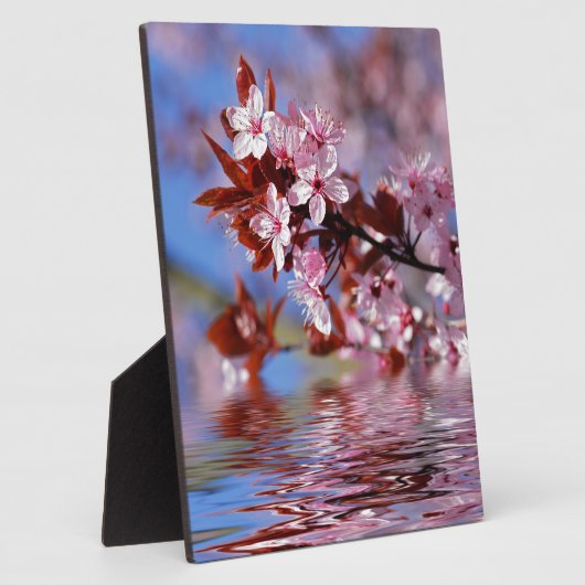 Sierlijke kersenboom bloesems fotoplaat (Zijkant)