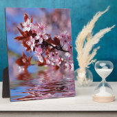 Sierlijke kersenboom bloesems fotoplaat (Zijkant)