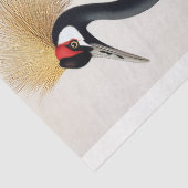 Sierlijke kraan  ornithologie decoupage kunst tissuepapier (Detail)