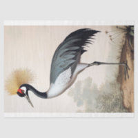Sierlijke kraan ornithologie decoupage kunst