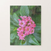 Sierlijke roze bloemen tuin bloempuzzel legpuzzel (Verticaal)