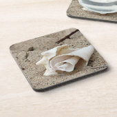 Sierlijke schelp op zand bier onderzetter (Linkerzijde)