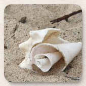 Sierlijke schelp op zand bier onderzetter (Voorkant)