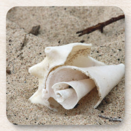 Sierlijke schelp op zand bier onderzetter