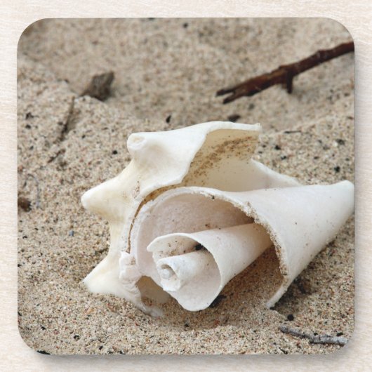 Sierlijke schelp op zand bier onderzetter (Voorkant)