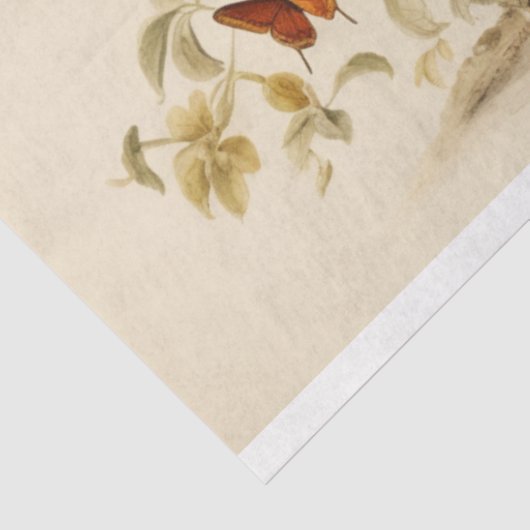 sierlijke vleugels: vogelkooi decoupage tissuepapier (Detail)