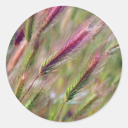 sierlijke vossenstaarten ronde sticker (Voorkant)