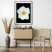 sierlijke witte anemoon foto afdruk
