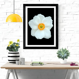 sierlijke witte anemoon foto afdruk