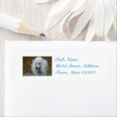 Sierlijke witte poedel etiket (Insitu)